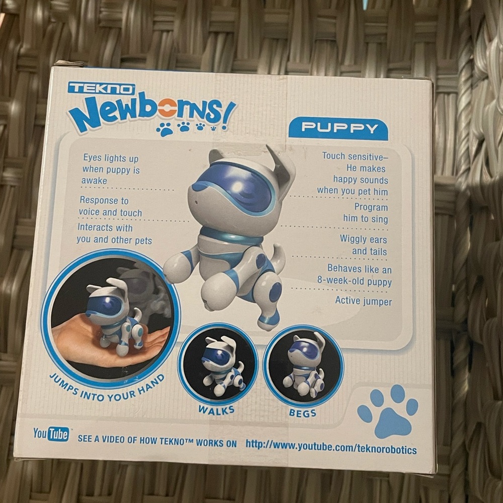 Tekno newborn puppy